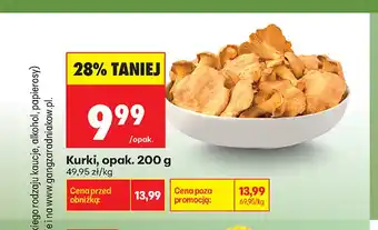 Biedronka Kurki oferta