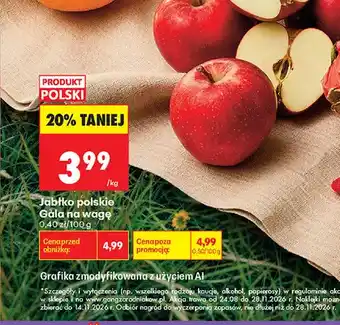 Biedronka Jabłka polskie Gala oferta