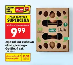 Biedronka Jajka kurze od kur z chowu ekologicznego Go Bio oferta