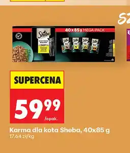 Biedronka Karma dla kota Sheba 40-pak oferta