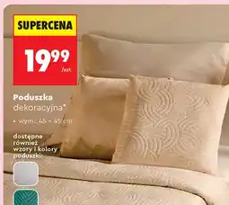 Biedronka Poduszka dekoracyjna Smukee 45x45 cm oferta