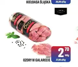 TomiMarkt Ozory w galarecie Haga oferta