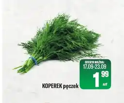 TomiMarkt Koperek oferta