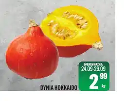 TomiMarkt Dynia hokkaido oferta