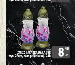 TomiMarkt Znicz Gałązka Da La 798 Dabox oferta