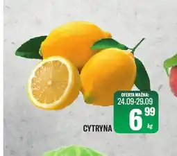 TomiMarkt Cytryny oferta