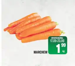 TomiMarkt Marchew oferta