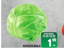 TomiMarkt Kapusta biała oferta
