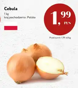 Market Point Cebula polska oferta