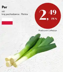 Market Point Por polski oferta