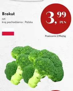 Market Point Brokuł polski oferta
