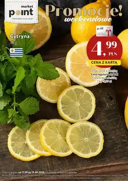 Market Point Cytryny oferta