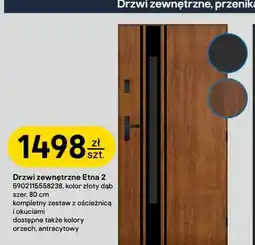 Castorama Drzwi zewnętrzne Etna 2 Pantor oferta