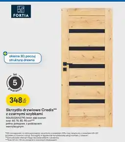 Castorama Skrzydło drzwiowe Credis z czarnymi szybkami Fortia oferta