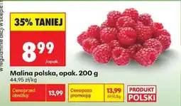 Biedronka Malina polska, opak. 200 g oferta