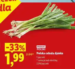 Lidl Polska cebula dymka oferta