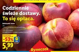 Lidl Nektarynki, luzem oferta