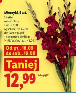 Lidl Mieczyki, 5 szt oferta