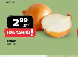 Netto Cebula oferta