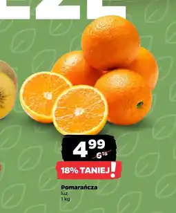 Netto Pomarańcza oferta