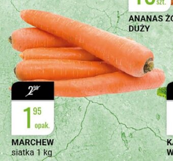 bi1 Marchew 1kg oferta