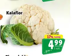 Prim Market Kalafior oferta