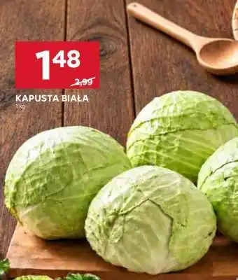 Stokrotka Market Kapusta biała oferta