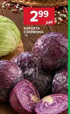 Stokrotka Market Kapusta czerwona oferta
