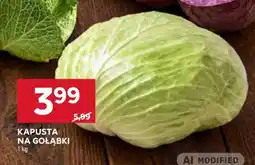 Stokrotka Market Kapusta na gołąbki oferta