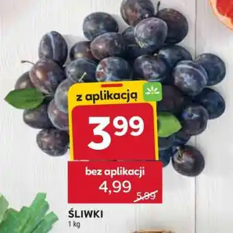 Stokrotka Market Śliwki oferta