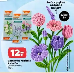 Netto Zestaw do robienia kwiatów oferta