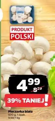 Netto Pieczarka biała oferta