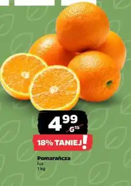 Netto Pomarańcza oferta