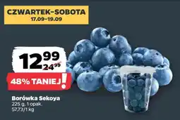 Netto Borówka Sekoya oferta
