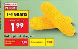 Biedronka Kukurydza kolba szt oferta