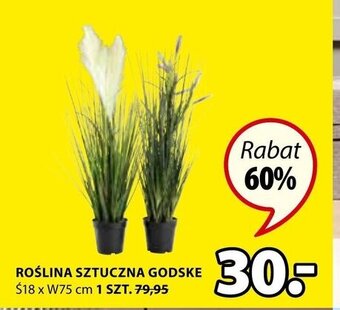 JYSK Roślina sztuczna Godske oferta
