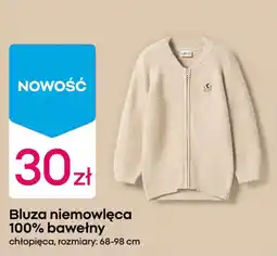 Pepco Bluza niemowlęca oferta