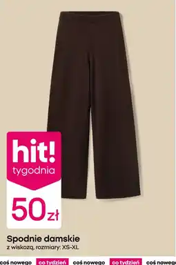 Pepco Spodnie damskie oferta