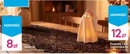 Pepco Duszek LED ceramiczny oferta