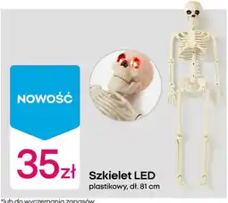 Pepco Szkielet LED oferta