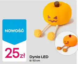 Pepco Dynia LED oferta