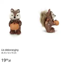KiK Lis dekoracyjny ok. 8 x 12 x 15 cm oferta