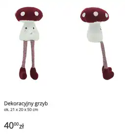 KiK Dekoracyjny grzyb ok. 21 x 20 x 50 cm oferta