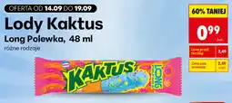 Biedronka Lody Kaktus Long Polewka oferta