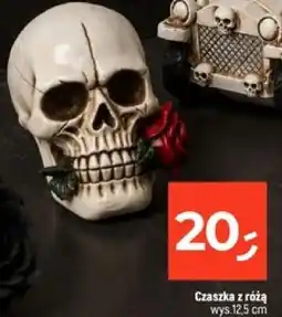 Dealz Czaszka z rózą oferta