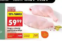 Biedronka Noga z gęsi Kraina Mięs oferta