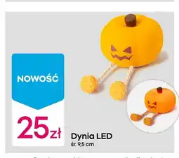 Pepco Dynia LED oferta