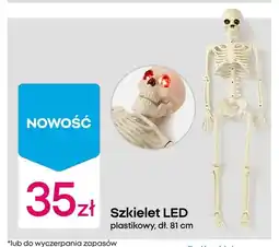 Pepco Szkielet LED oferta