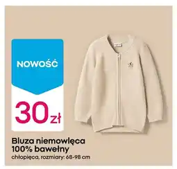 Pepco Bluza niemowlęca 100% bawełny chłopięca oferta