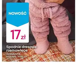 Pepco Spodnie dresowe niemowlęce dziewczęce oferta